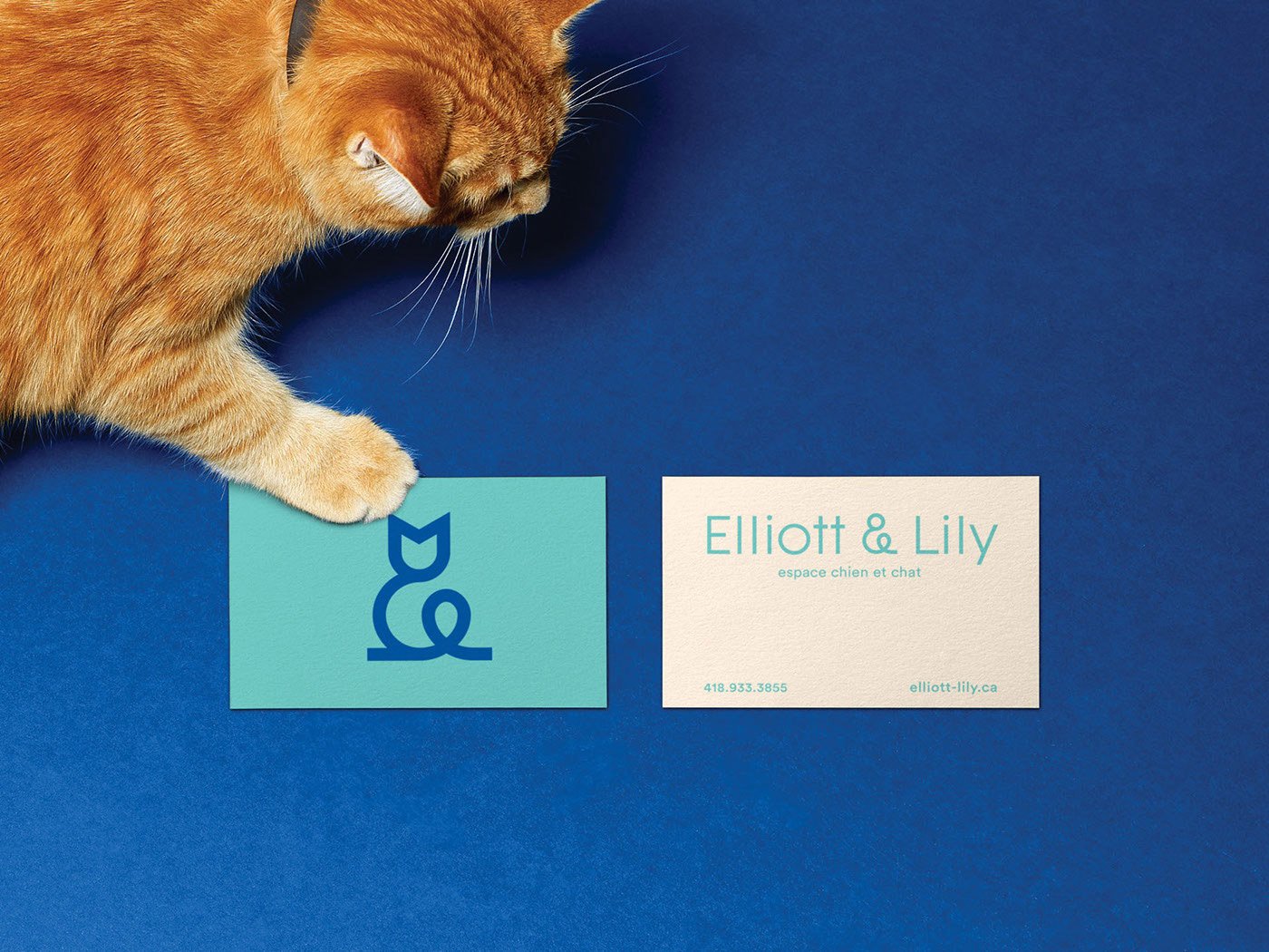 Elliott & Lily Branding | Mindsparkle Mag