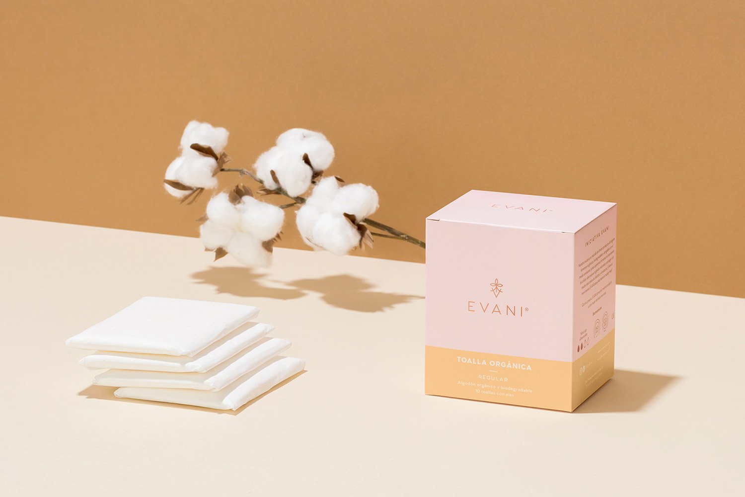 evani | Mindsparkle Mag