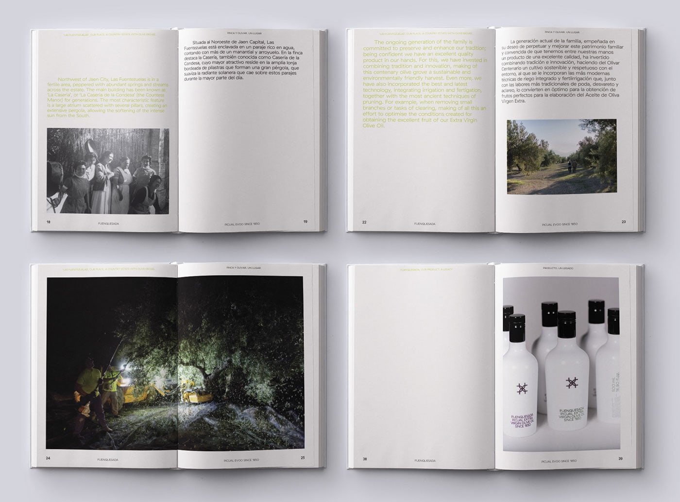 Fuenquesada | Mindsparkle Mag