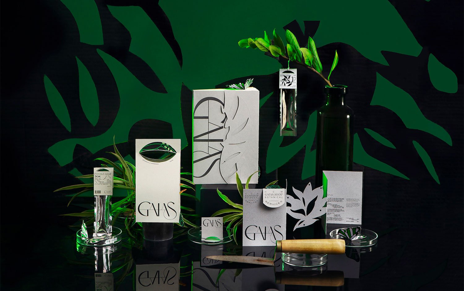 Gaias Branding | Mindsparkle Mag