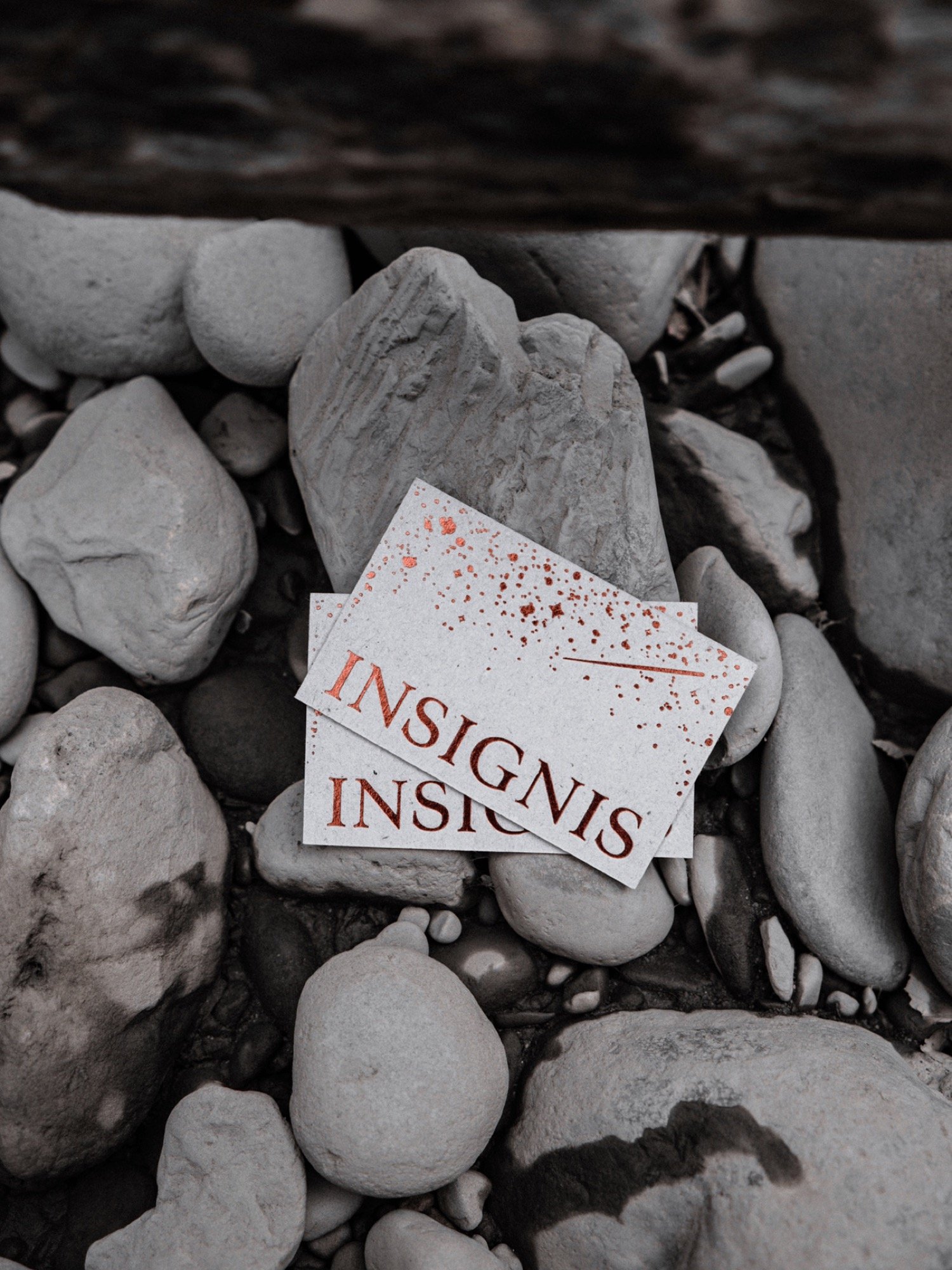 Insignis | Mindsparkle Mag