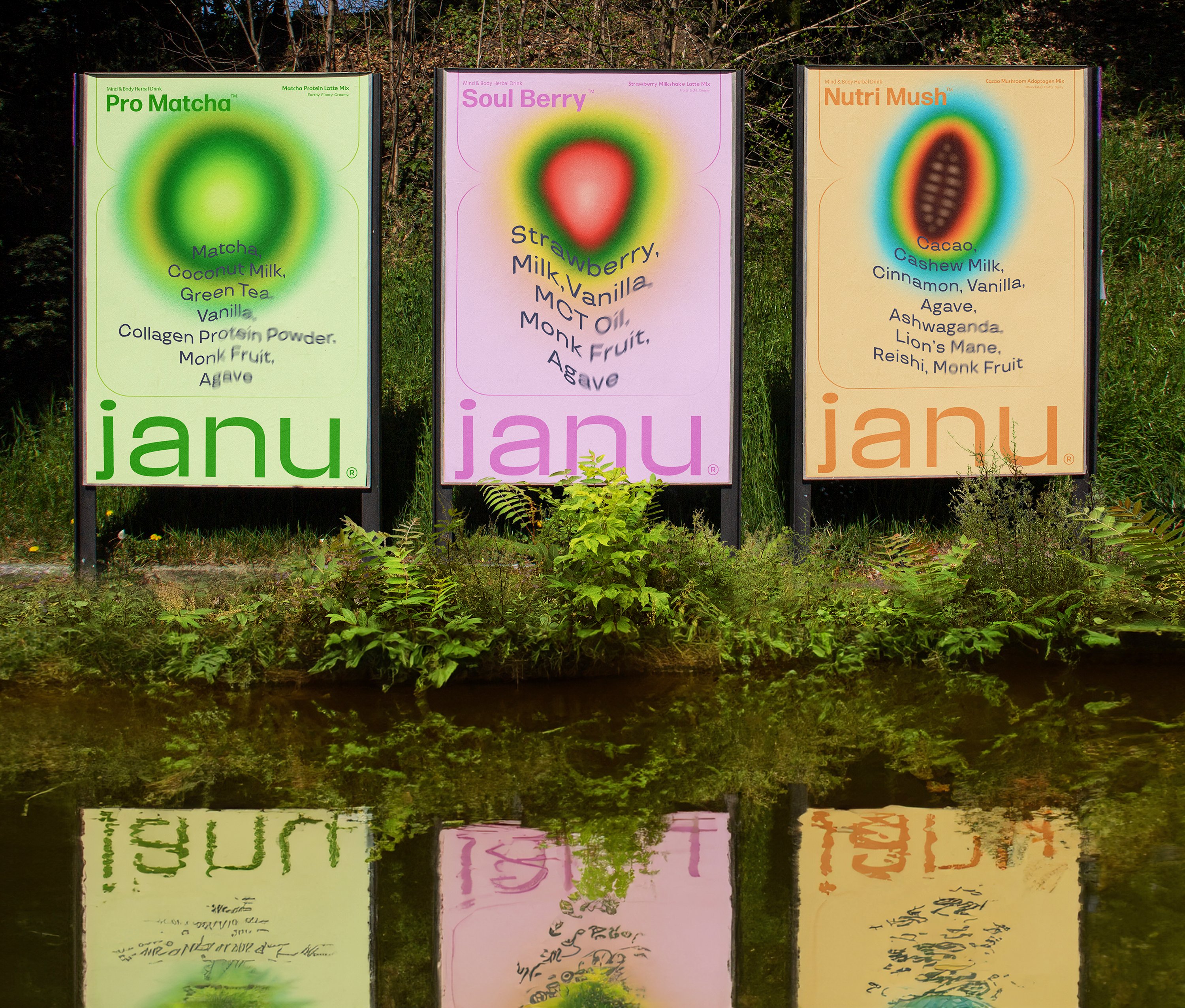 Janu | Mindsparkle Mag