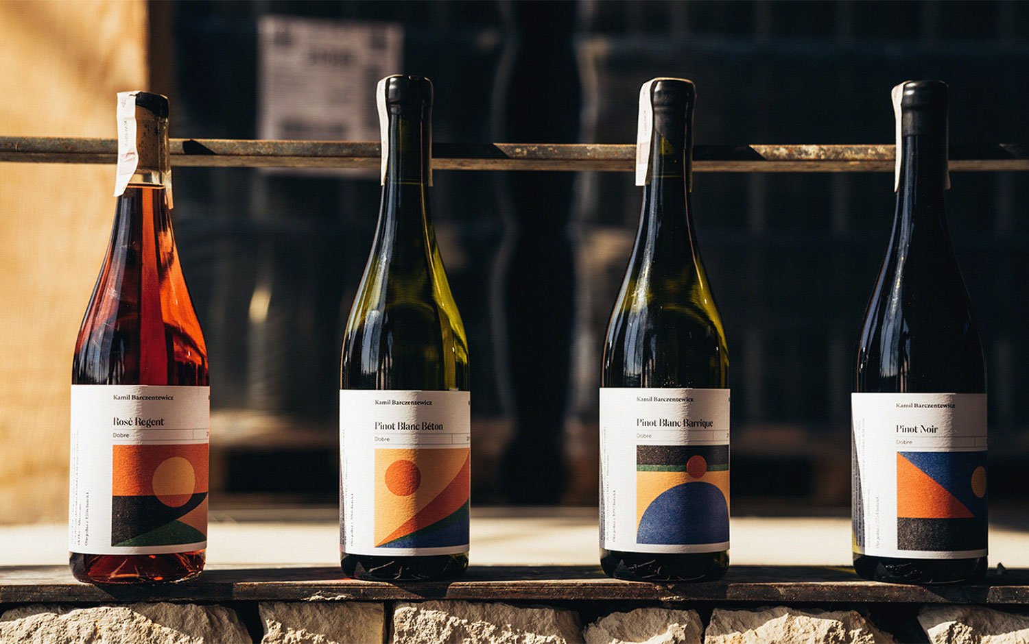Kamil Barczentewicz Identity | Mindsparkle Mag