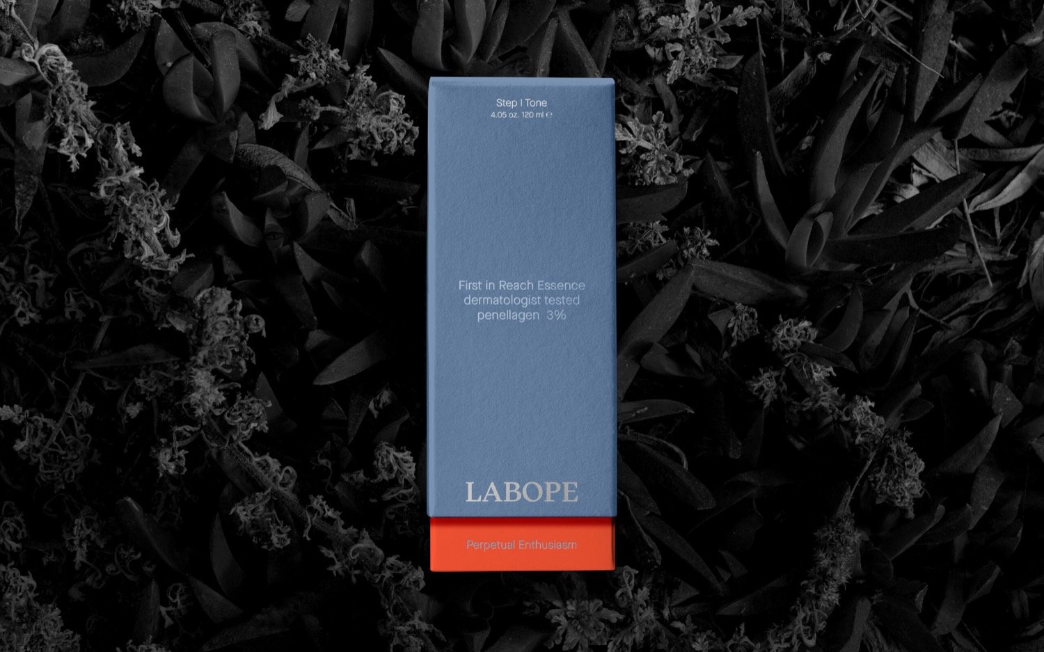 Labope | Mindsparkle Mag
