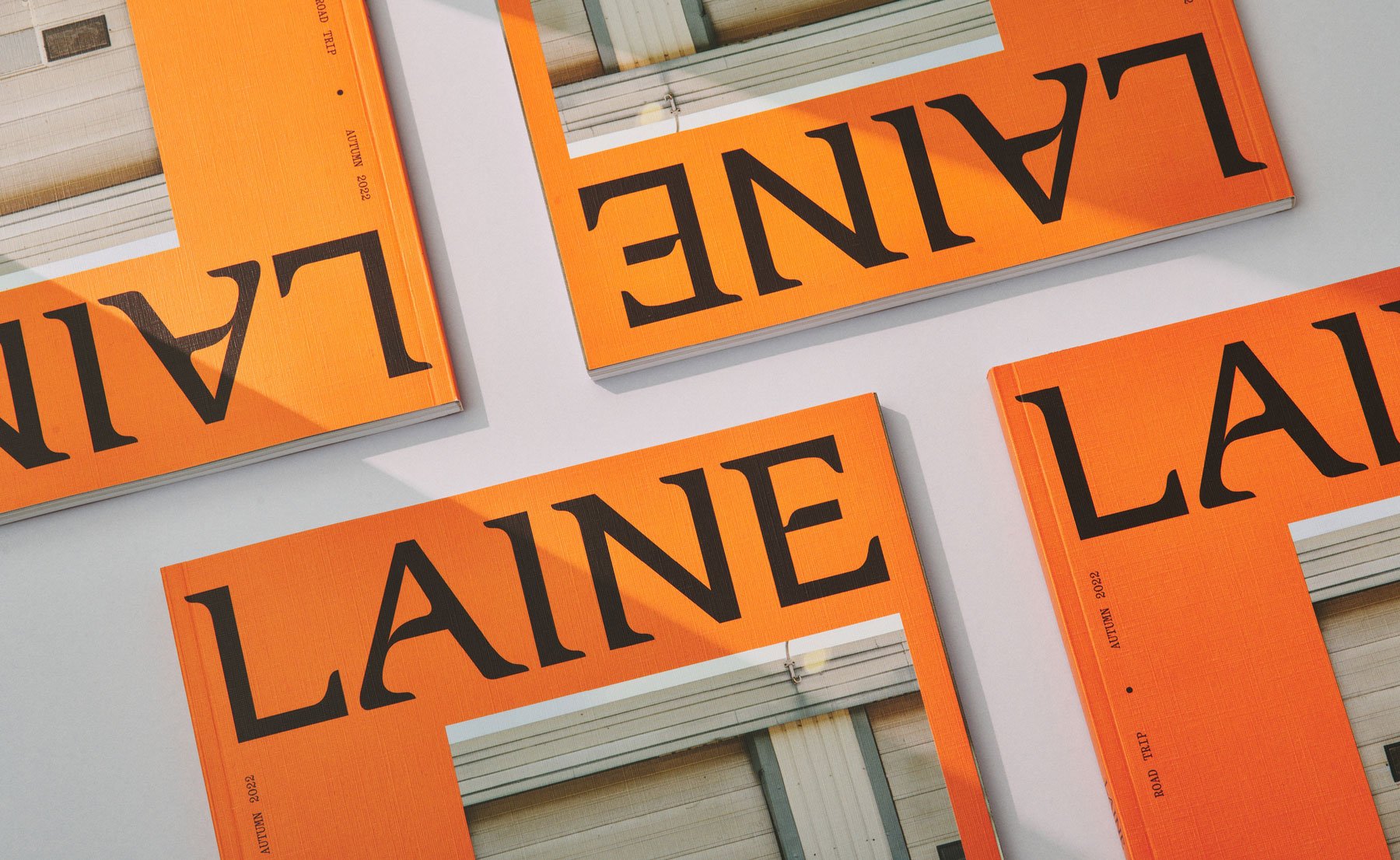 Laine Publishing | Mindsparkle Mag