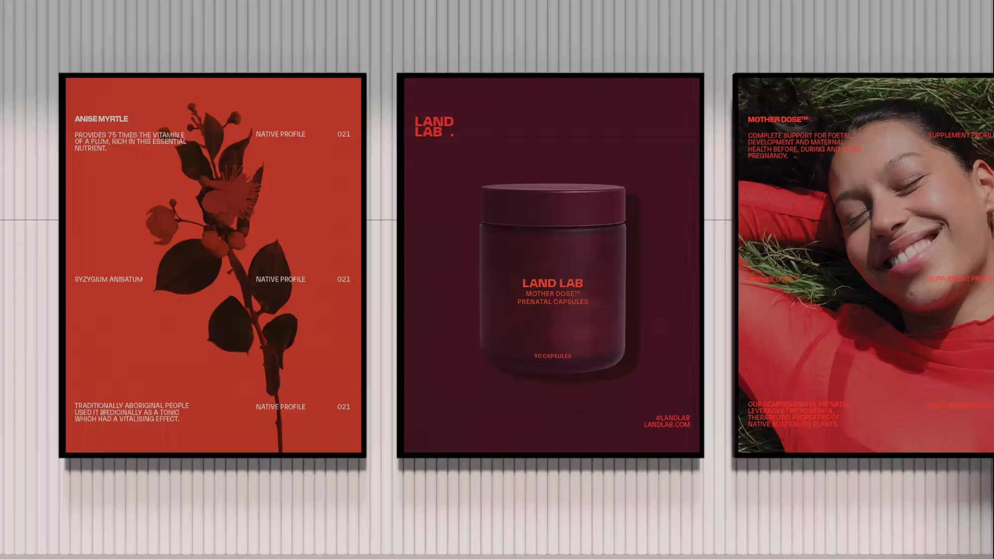 Land Lab supplement | Mindsparkle Mag