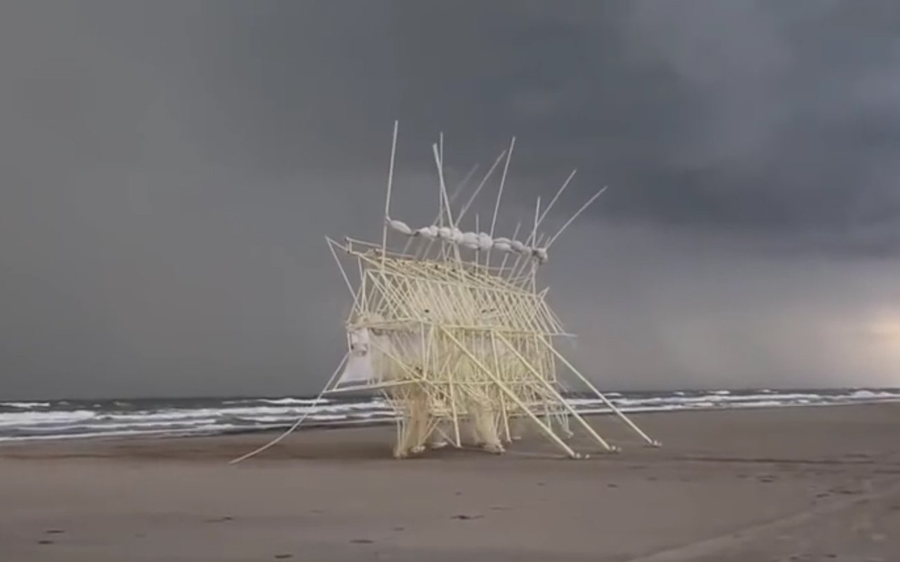 Living Kinetic Sculptures | Mindsparkle Mag