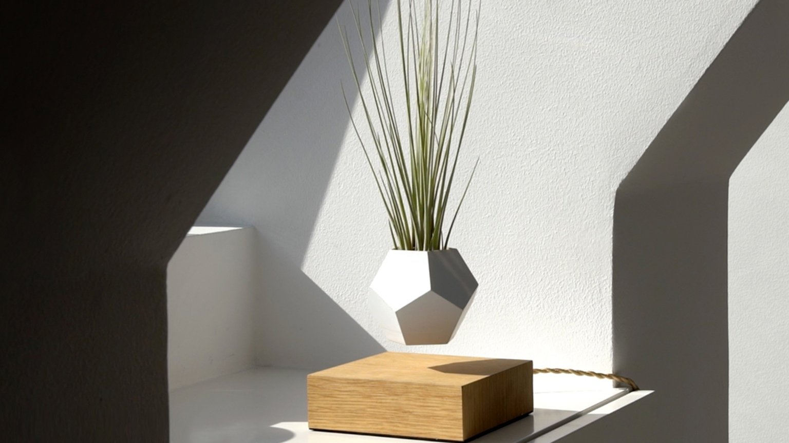 LYFE - Set your plants free | Mindsparkle Mag