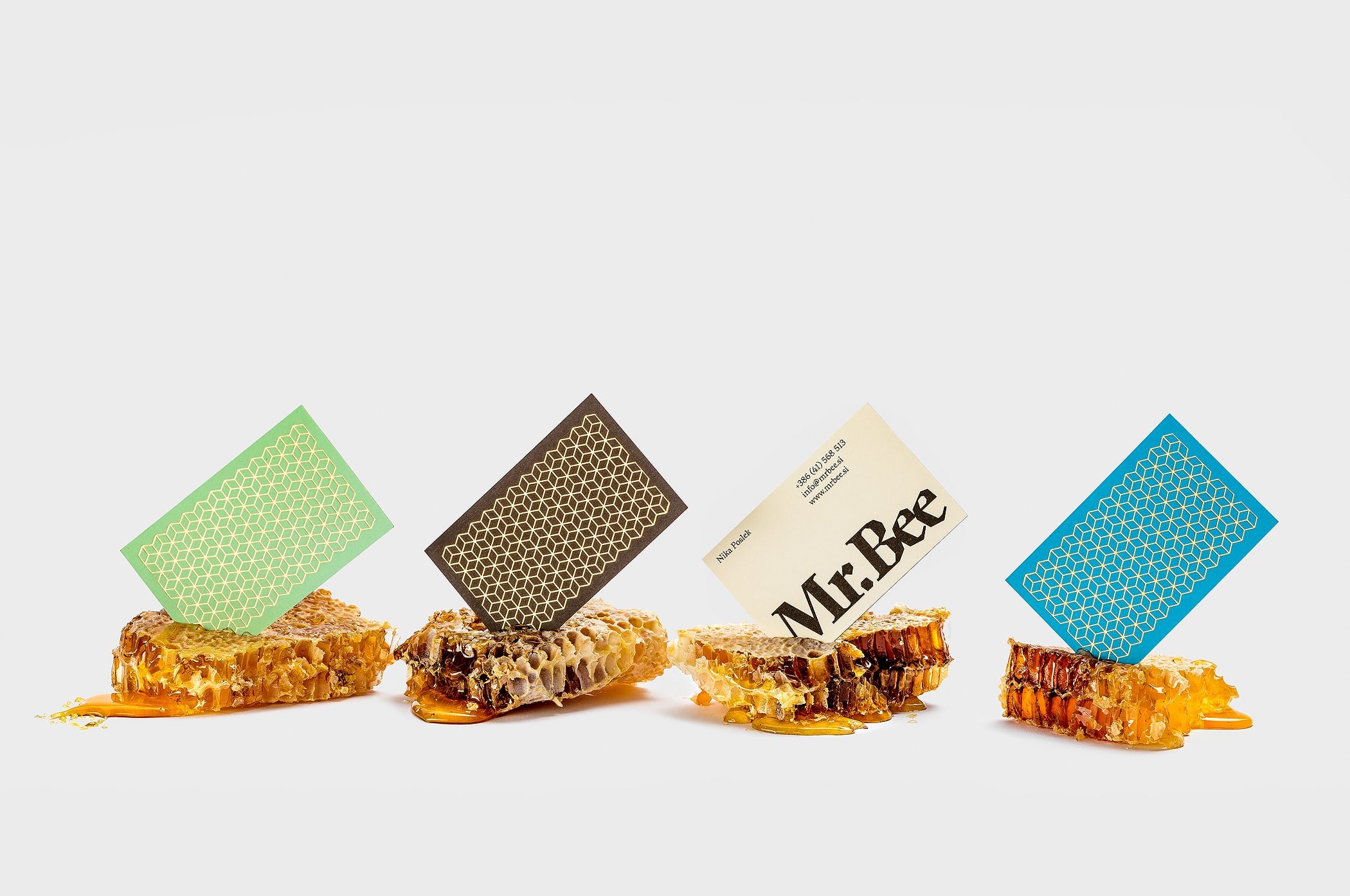 Mr.Bee | Mindsparkle Mag