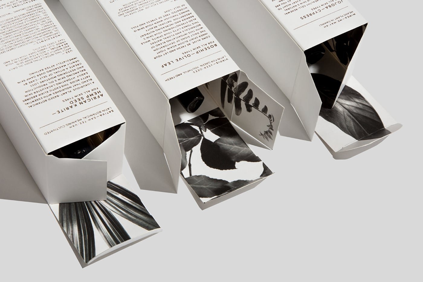 Native Atlas Packaging | Mindsparkle Mag