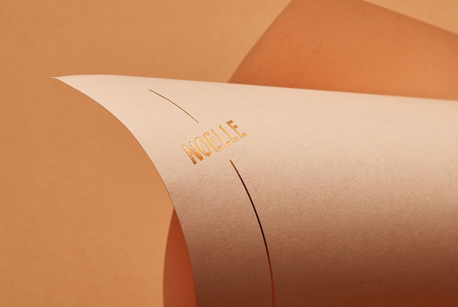 Noelle Identity | Mindsparkle Mag