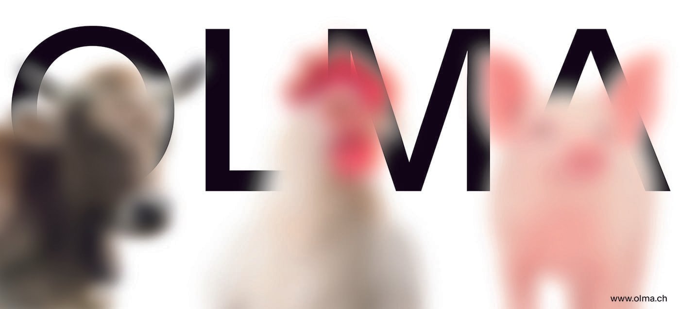 OLMA Fair Posters | Mindsparkle Mag