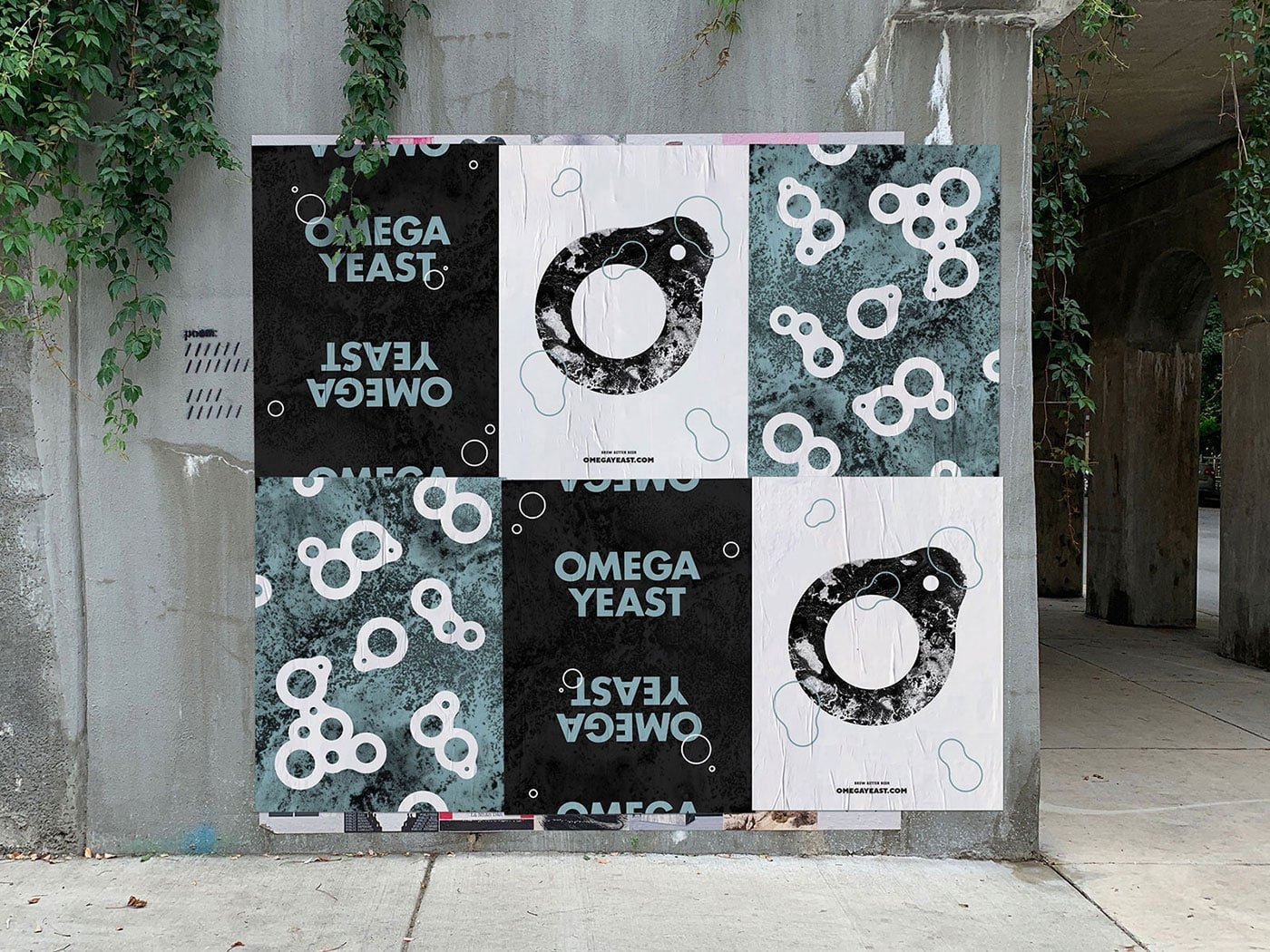 Omega Yeast | Mindsparkle Mag