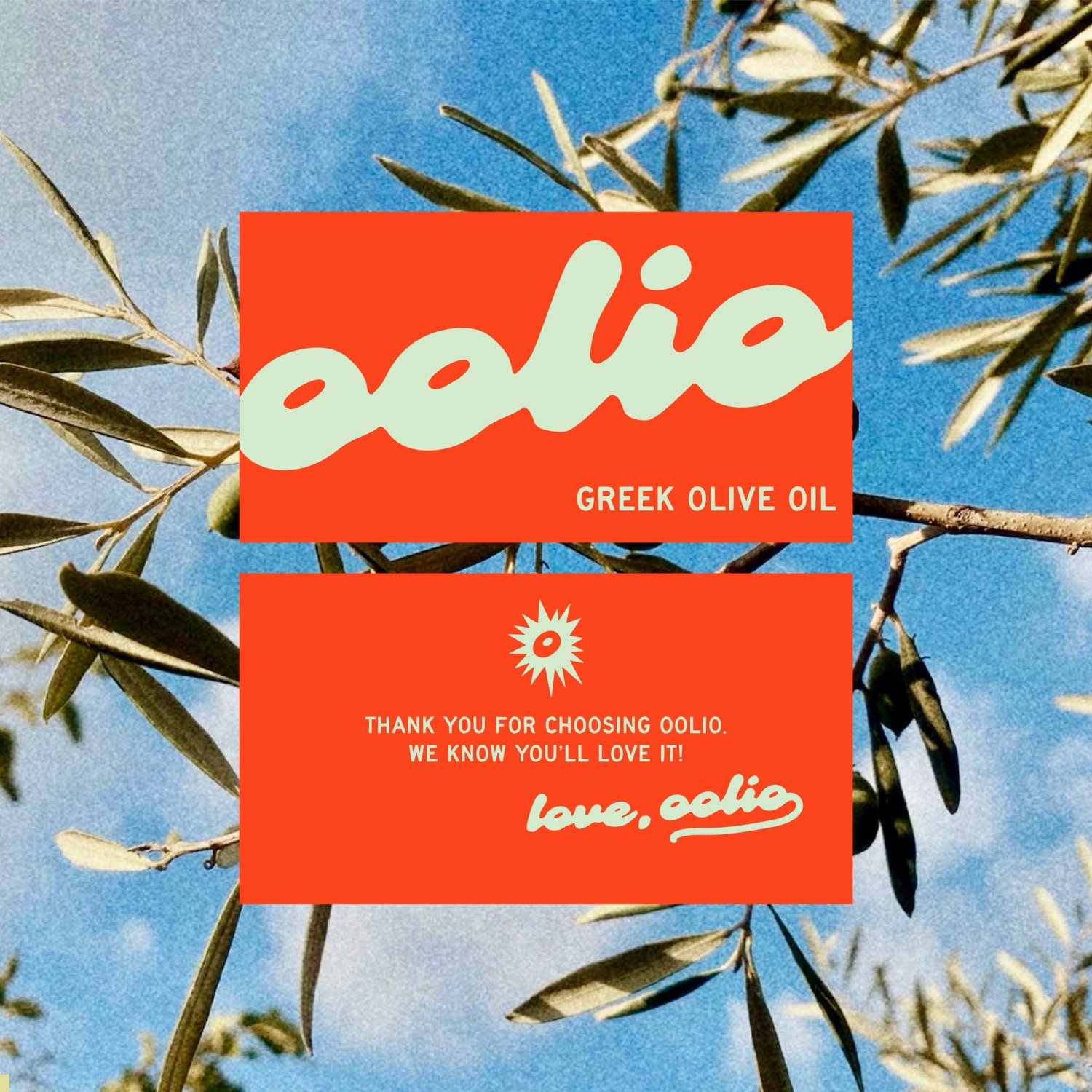 Oolio | Mindsparkle Mag