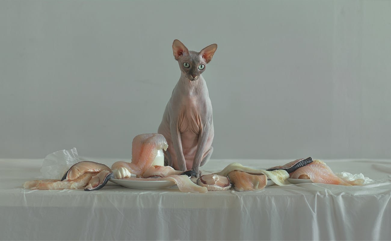 Organic still life photography | Mindsparkle Mag