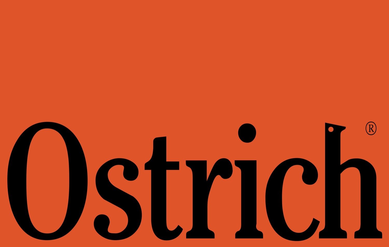 Ostrich | Mindsparkle Mag