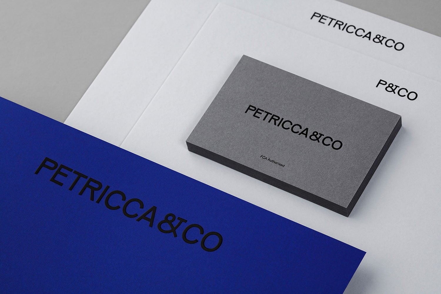 Petricca Co. Identity | Mindsparkle Mag