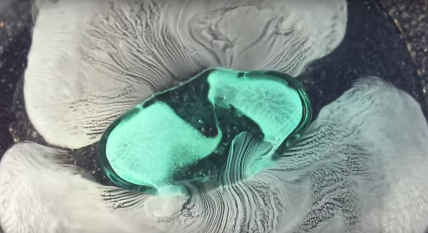 Pills Dissolve In Macro | Mindsparkle Mag