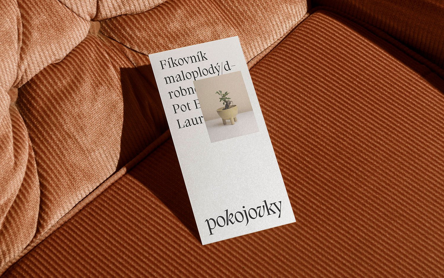 Pokojovky Brand Identity | Mindsparkle Mag