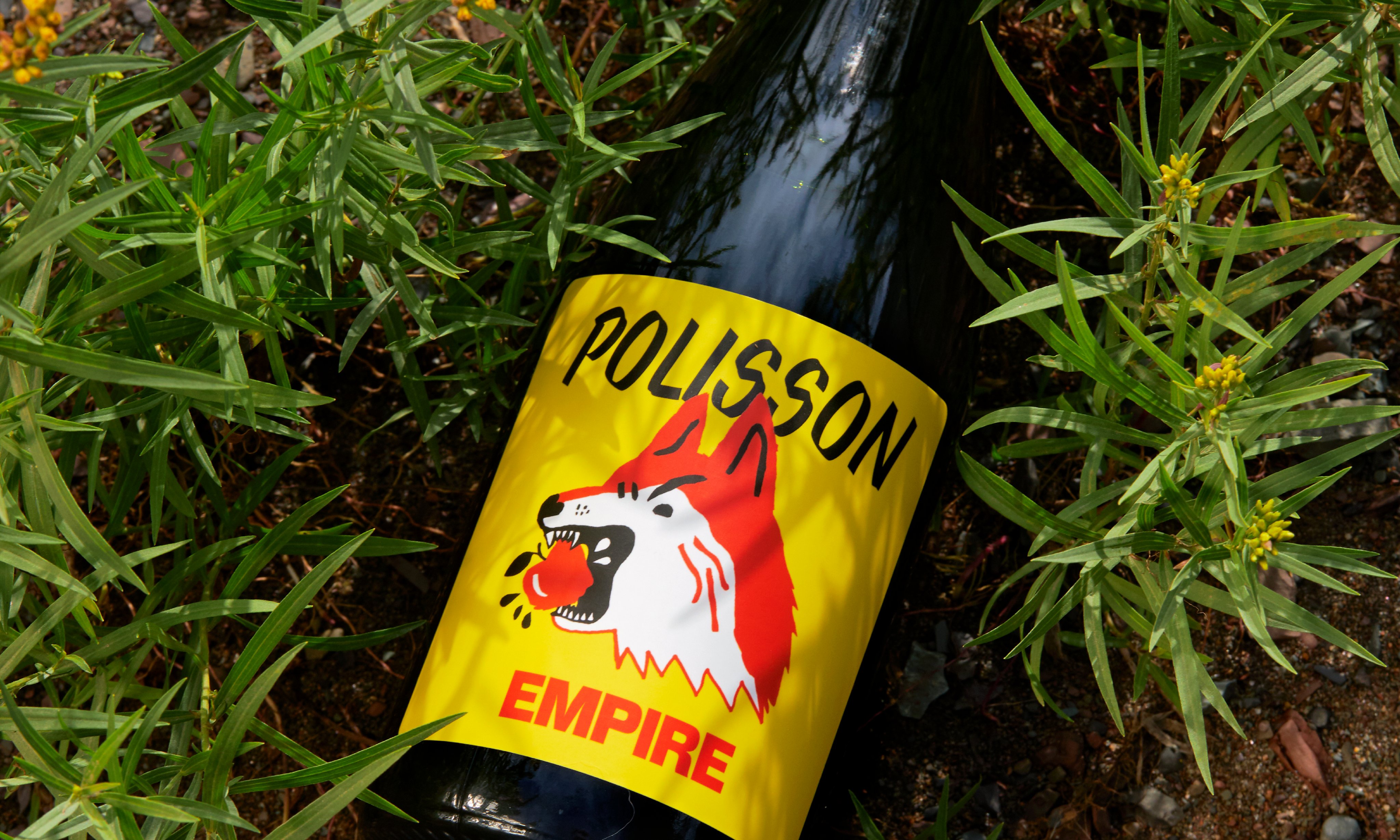 Polisson | Mindsparkle Mag