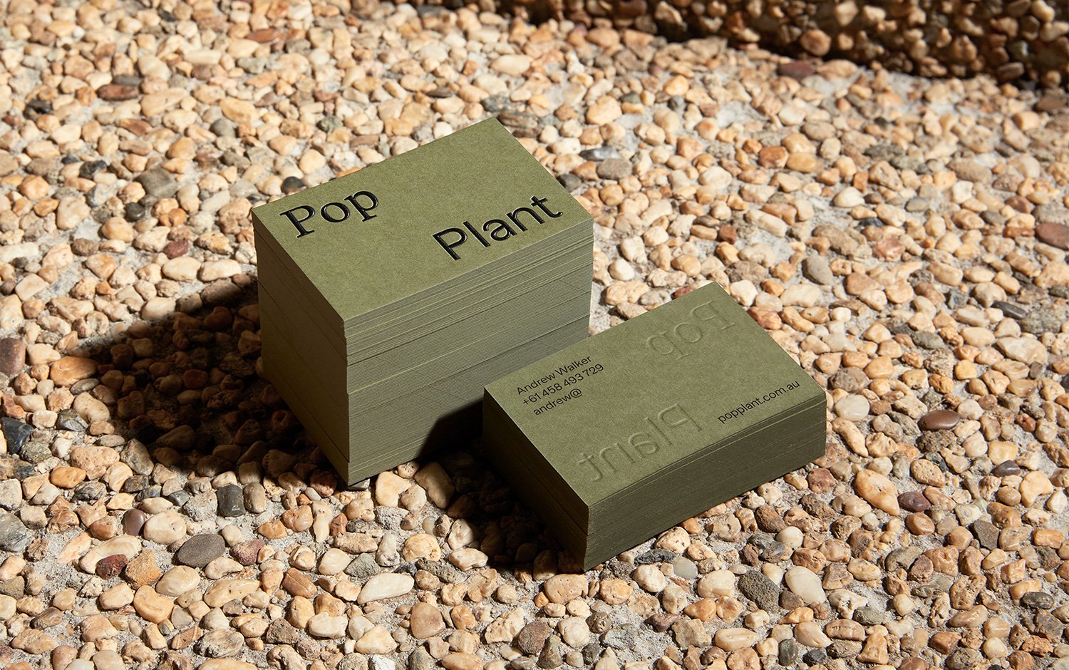 Pop Plant | Mindsparkle Mag