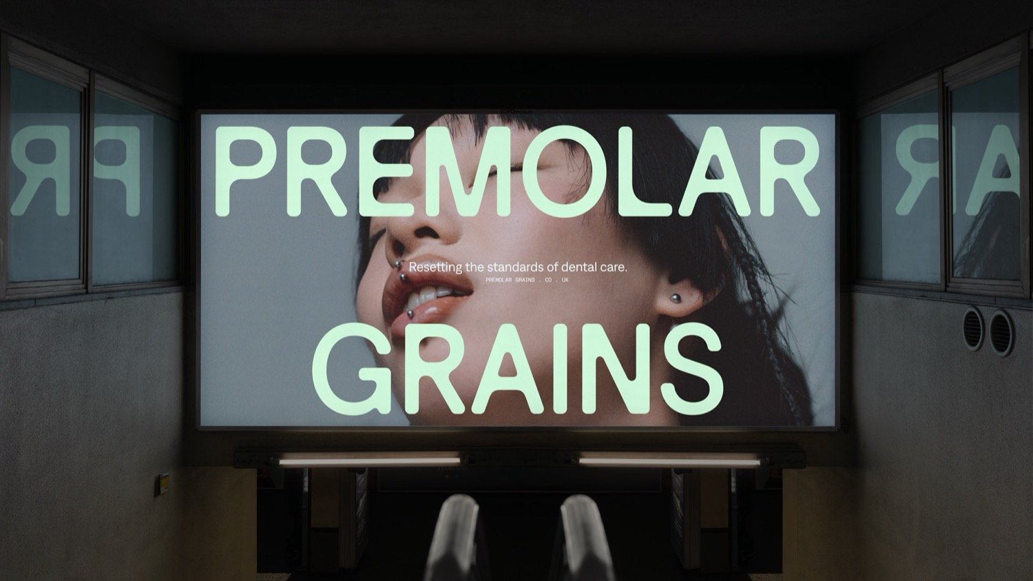 Premolar Grains | Mindsparkle Mag