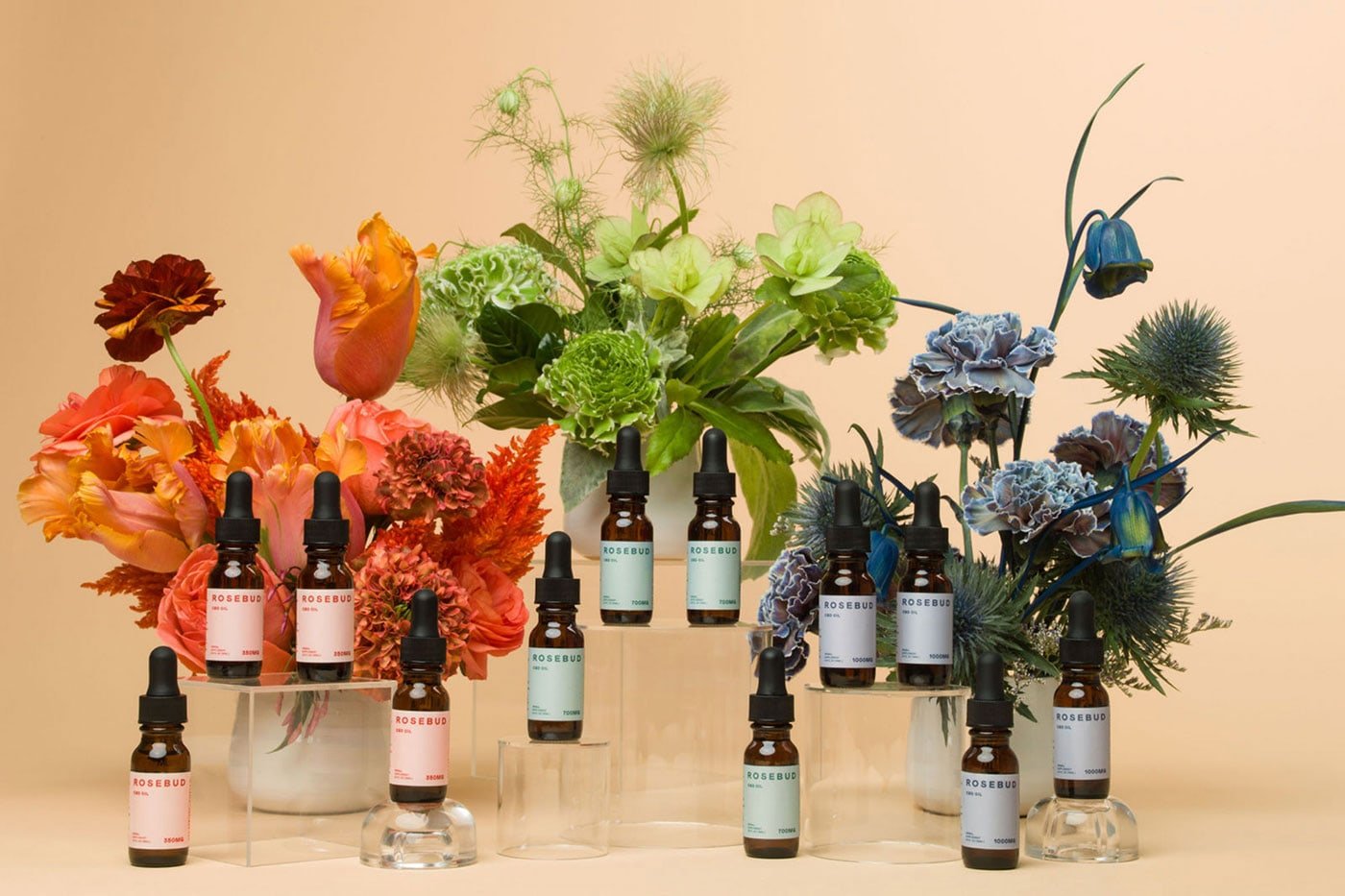 Rosebud | Mindsparkle Mag