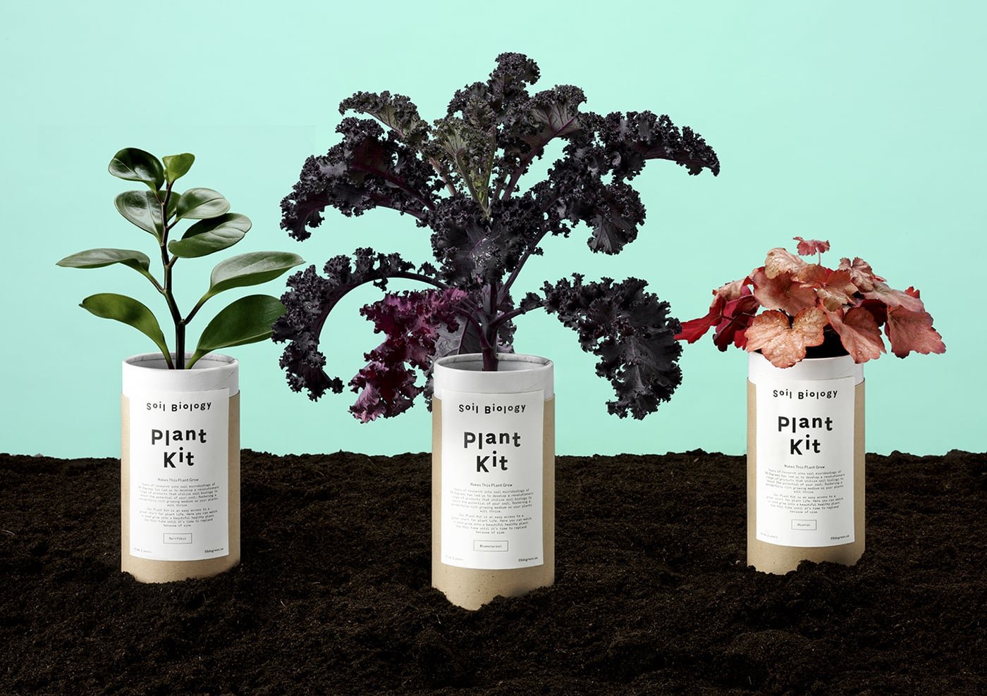 Soil Biology Branding | Mindsparkle Mag