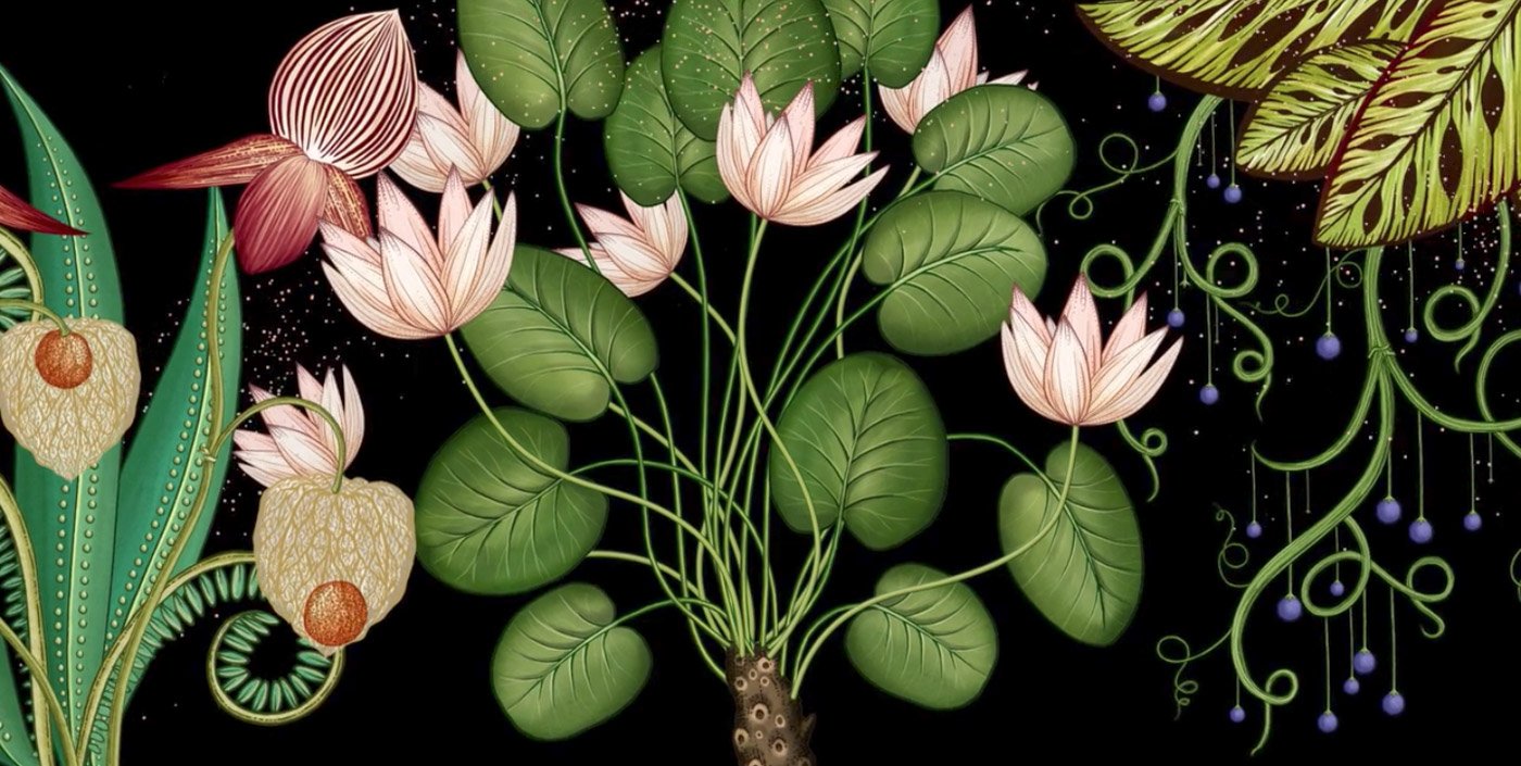 Stunning Botanical Projection | Mindsparkle Mag
