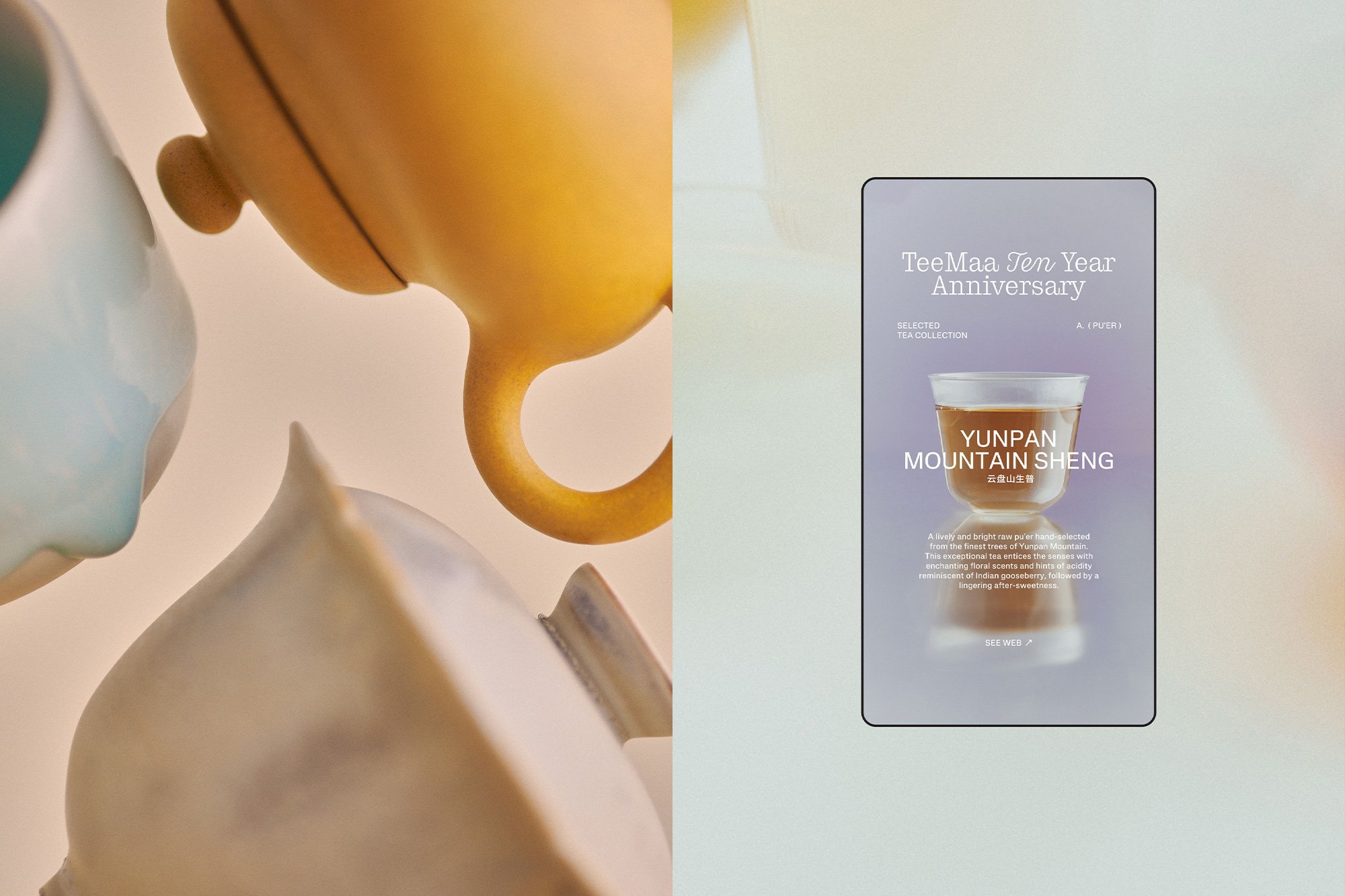 TeeMaa 10-Year Anniversary | Mindsparkle Mag