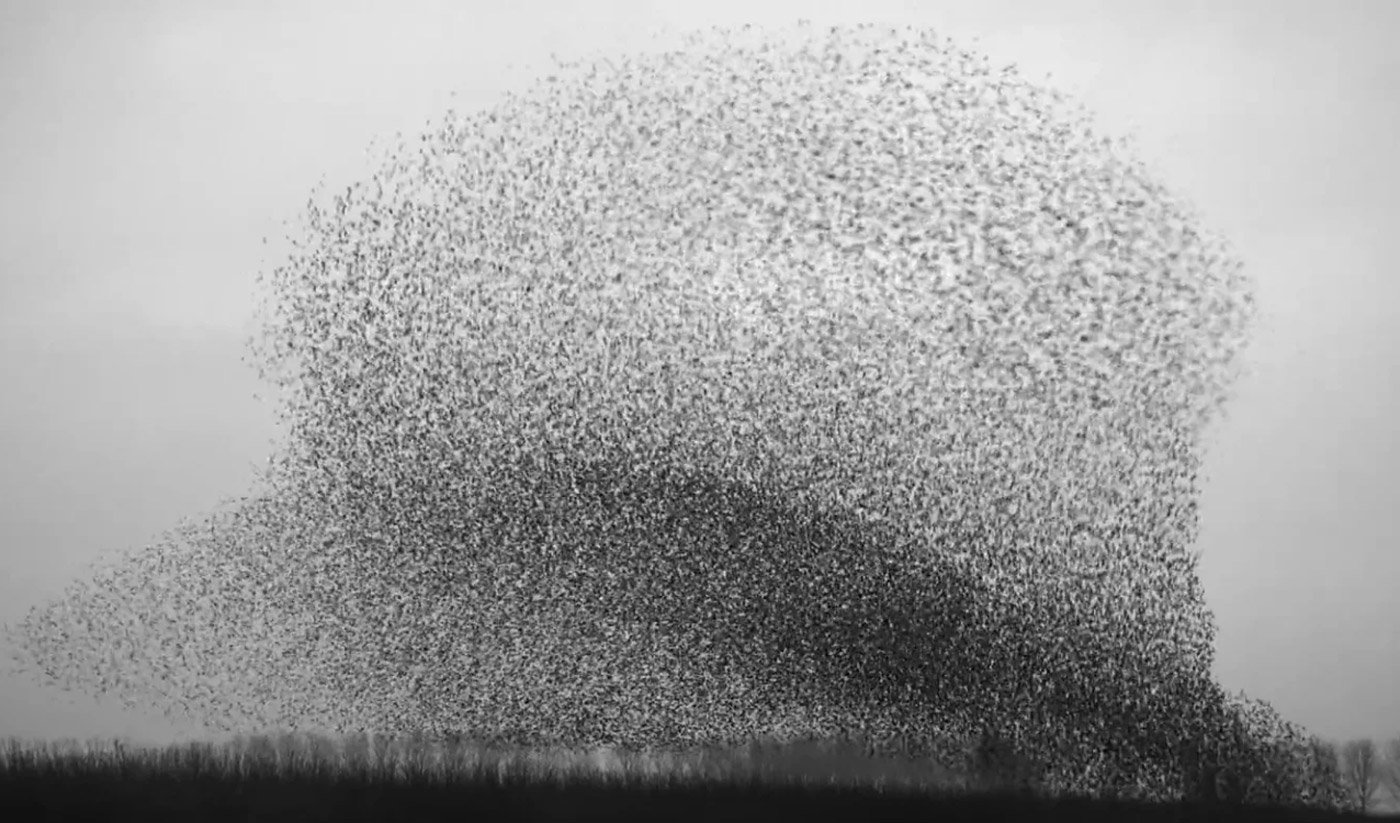 The Art of Flying | Mindsparkle Mag