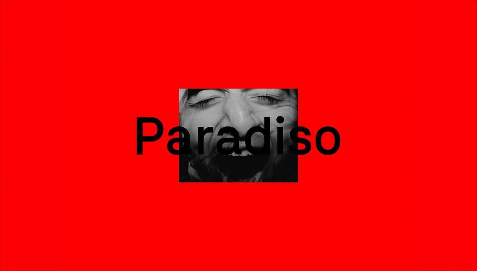The Paradiso Schedule | Mindsparkle Mag