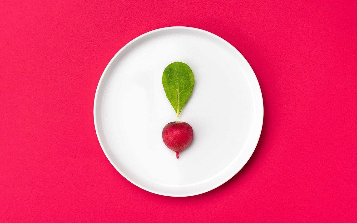 The Spicy Radish | Mindsparkle Mag