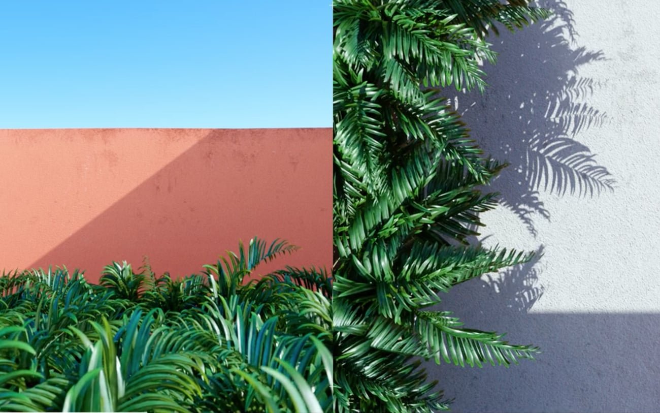 Vegetation | Mindsparkle Mag