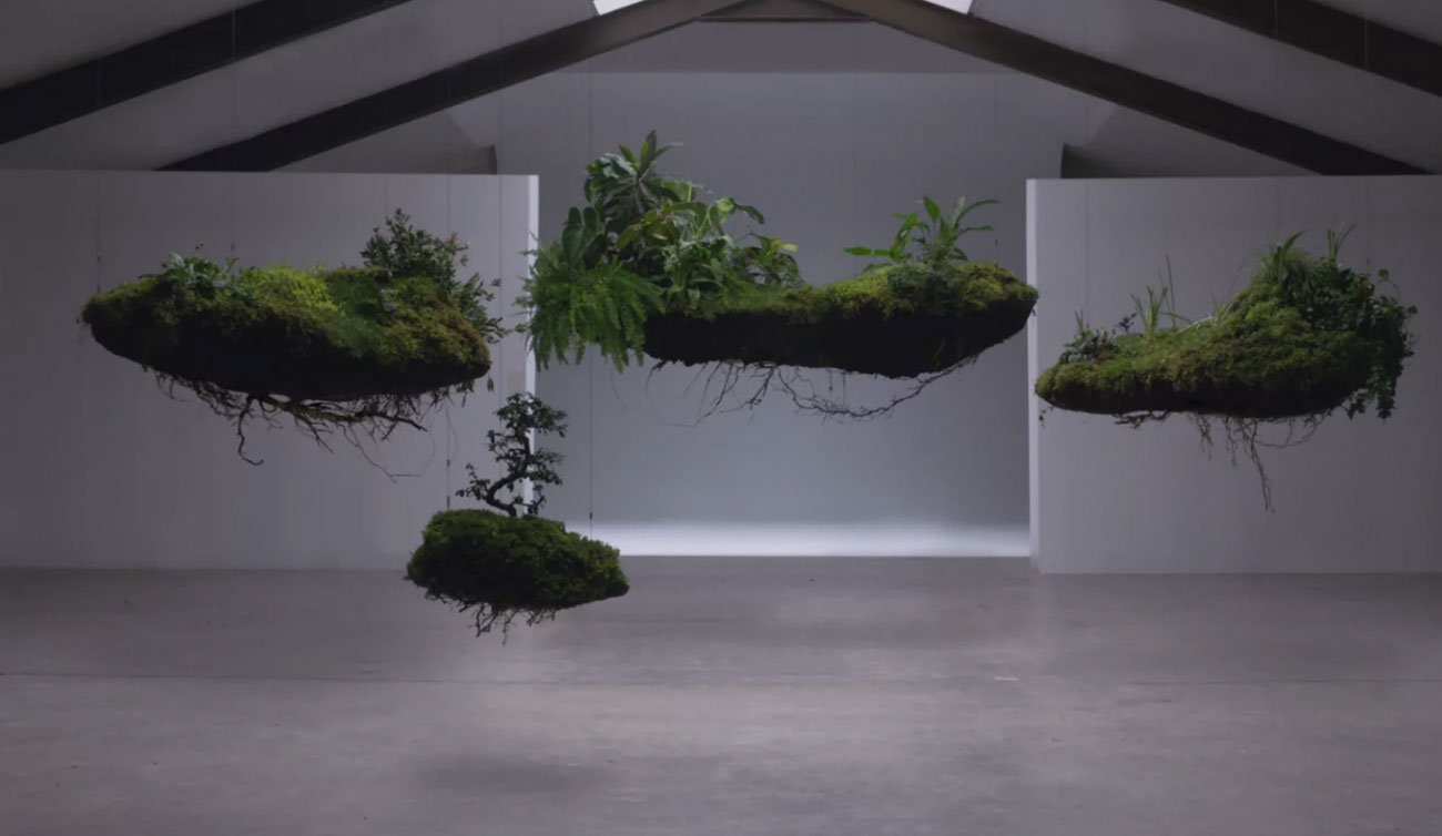 WASO beautiful things from nature | Mindsparkle Mag
