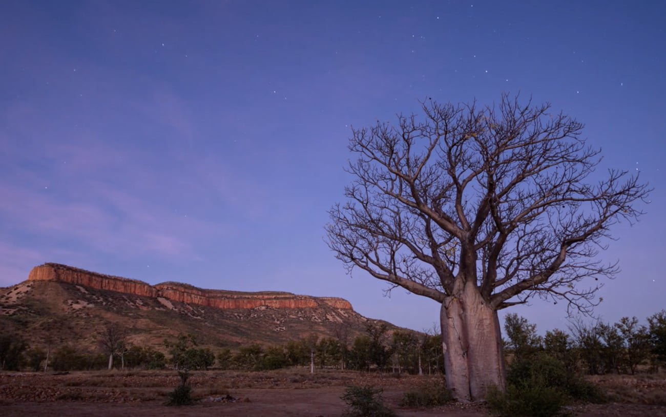 Wild Kimberley | Mindsparkle Mag