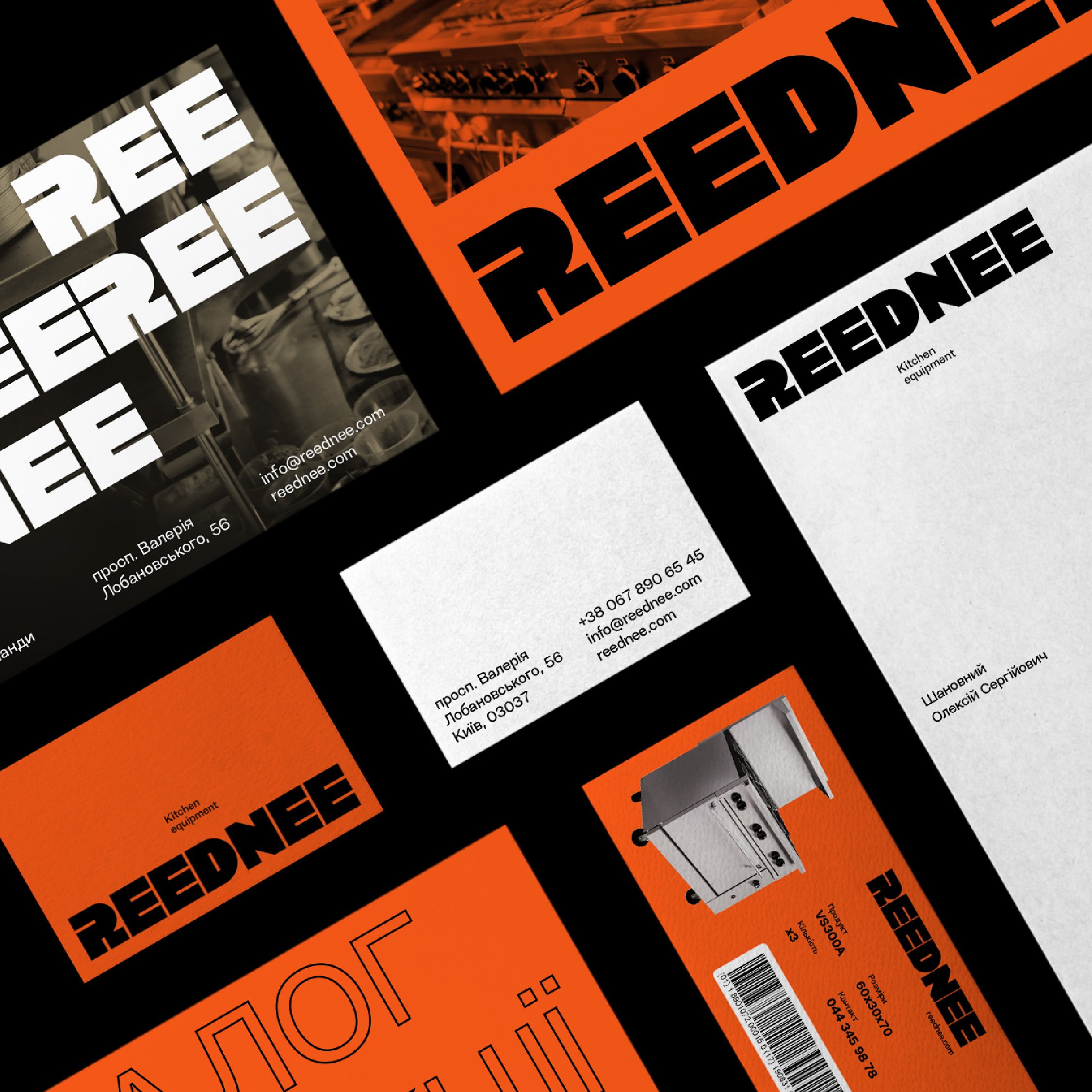 Reednee | Mindsparkle Mag