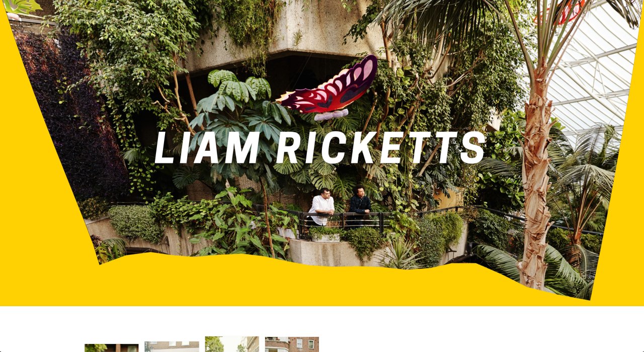 Liam Ricketts on Minimal Gallery