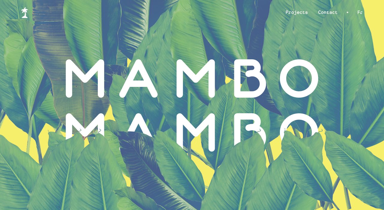 Mambo Mambo on Minimal Gallery