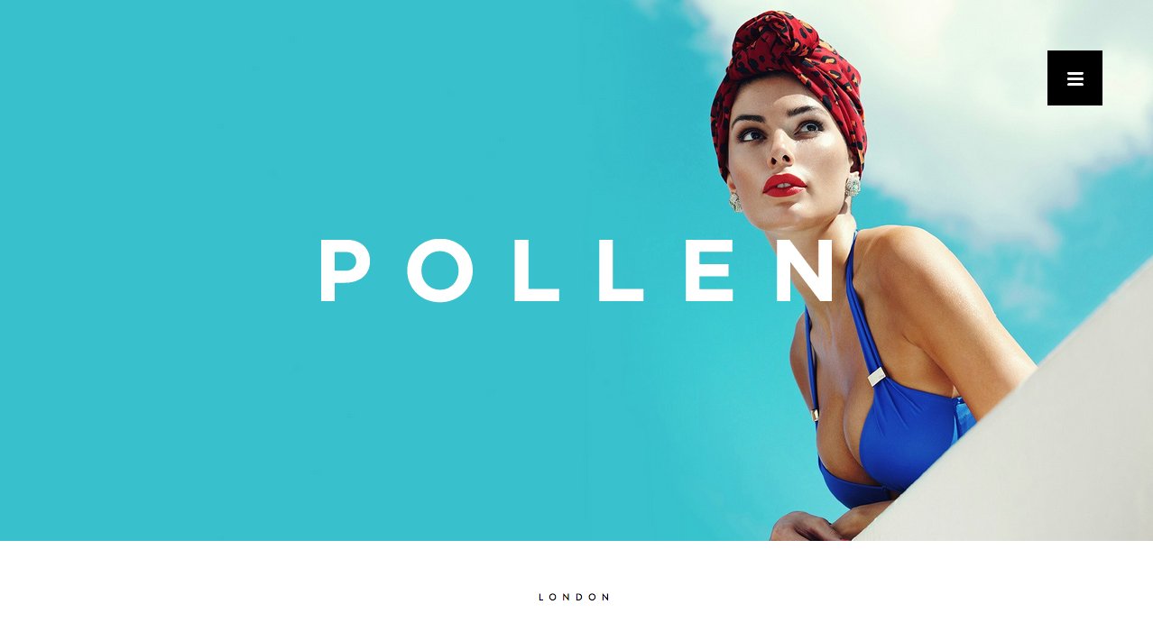 Pollen on Minimal Gallery