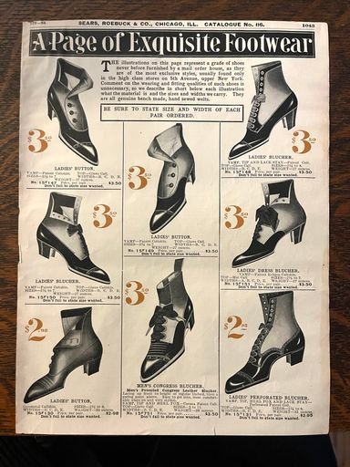 A Page of Exquisite Footwear