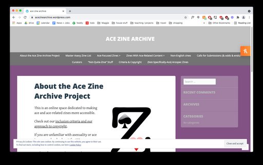 Ace Zine Archive
