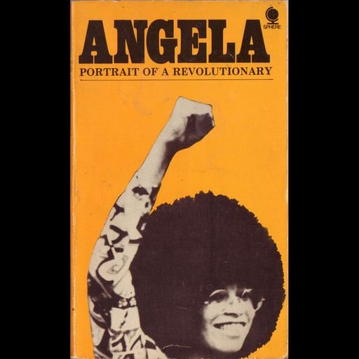 Angela, Portrait of a Revolutionary book cover
