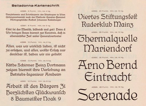 Belldonna Type Specimen