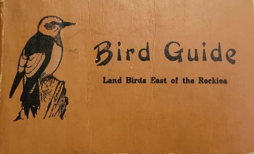 Bird Guide Land Birds East of the Rockies