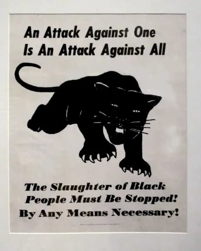 Black Panther Activism and Accessibility 