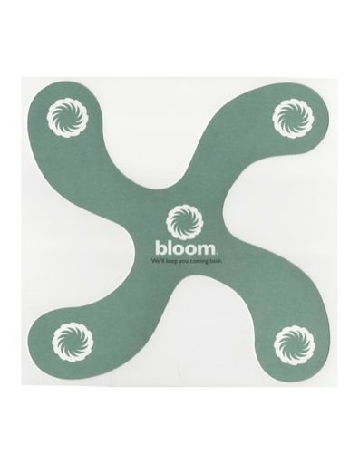 Bloomerang