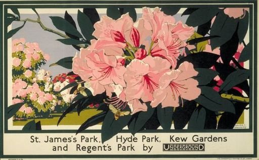 Botanical Illustrations and Travel Posters for London Transport by Walter Ernest Spradbery