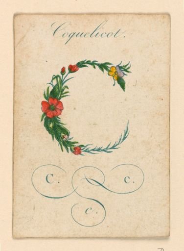 “C” from “Alphabet en Fleurs” (Alphabet Cards)