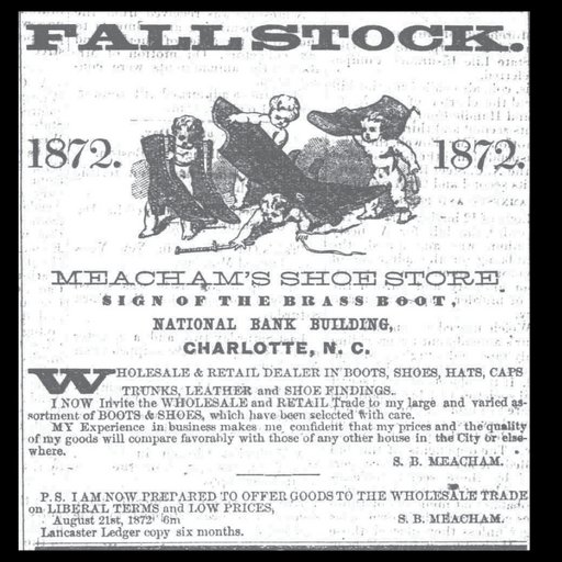 Charlotte Daily Observer Ad 1872